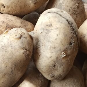 Irish Potato